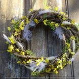 Frühlingskranz mit Goldregen – natürliche Oster- und Türdekoration